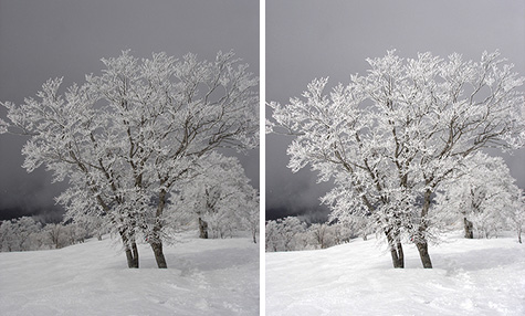 How to fix the “gray snow problem” with Photoshop  PhotoNaturalist -  nature photography tips and tutorials