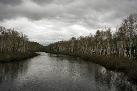 What To Photograph On An Overcast Day Photonaturalist Nature Photography Tips And Tutorials