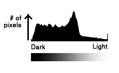 histogram-detail