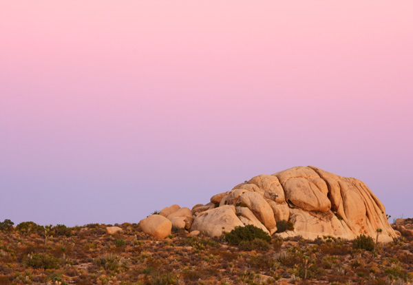 Mojave Desert at Sunset / Photo by Steve Berardi
