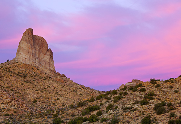 Mojave Desert / Photo by Steve Berardi
