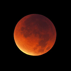 Lunar Eclipse (2011) / Photo by Steve Berardi