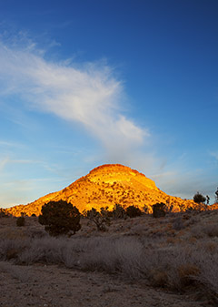 Sunrise in the Mojave / Photo by Steve Berardi