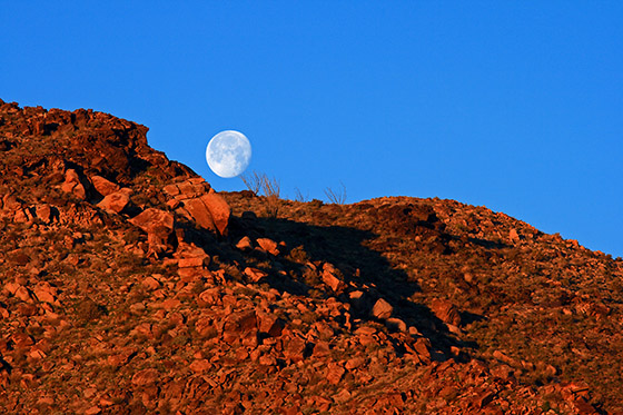 Sunrise and Moonset in the Mojave Desert / Photo by Steve Berardi