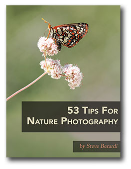 53 Tips For Nature Photography