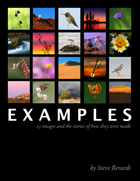 Examples eBook