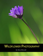 Wildflower Photography eBook