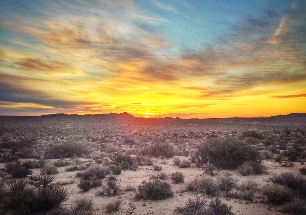 Mojave Sunrise