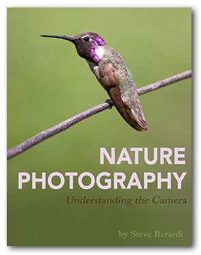 Nature Photography - Understanding the Camera (eBook)