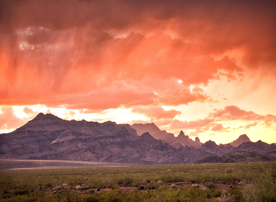 Mojave Desert / Photo by Steve Berardi