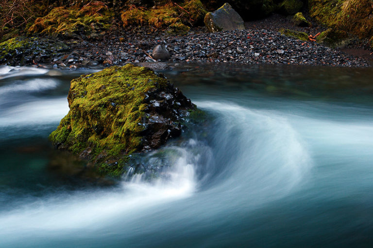 How To Show Motion PhotoNaturalist nature photography tips and